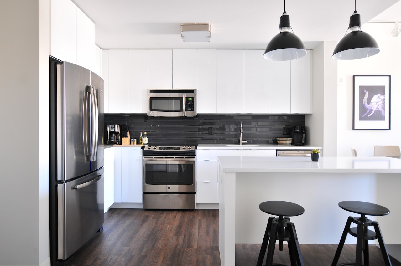 Cockroach Control service in Chicopee, MA